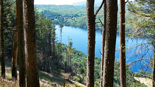 Scenic view of Lake Windermere and the surrounding hills in the Lake District, England, on a clear spring day. Lush green fields, calm water, and distant mountains under a blue sky.