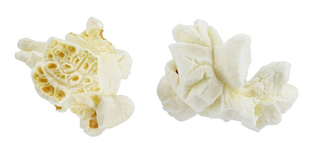 istock Two flying popcorn isolated on a white background. Full depth of field. 2228623374