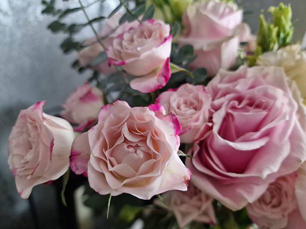 istock Fresh pink roses and greenery 2228624891