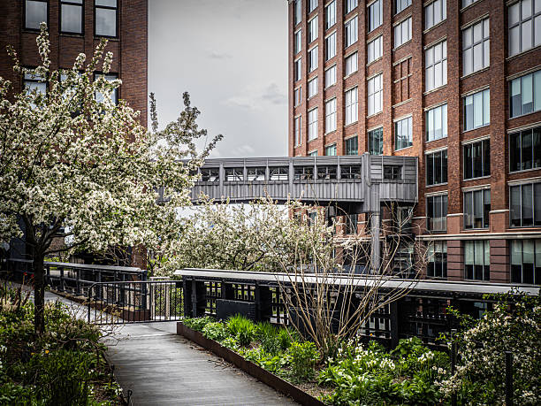 High Line in New York - USA