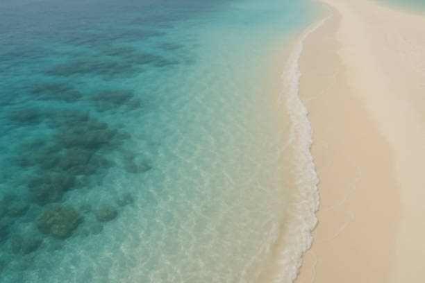 Blurred tropical beach with turquoise water and palm trees, perfect summer background for travel, holiday design, tropical wallpaper, or relaxation and nature-themed projects