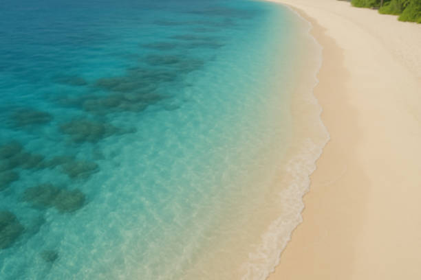 Blurred tropical beach with turquoise water and palm trees, perfect summer background for travel, holiday design, tropical wallpaper, or relaxation and nature-themed projects