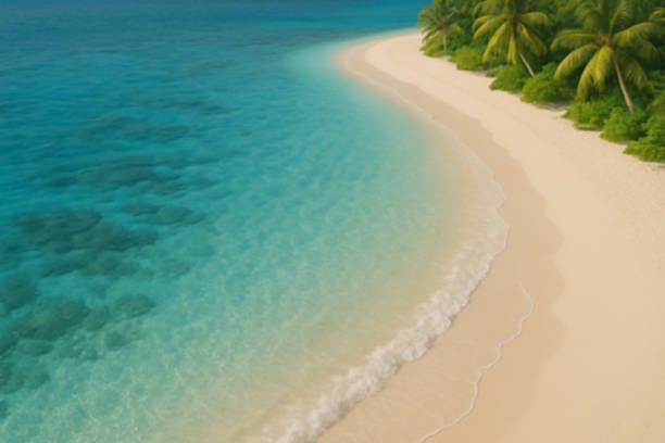 istock Blurred tropical beach with turquoise water and palm trees, perfect summer background for travel, holiday design, tropical wallpaper, or relaxation and nature-themed projects 2228626244