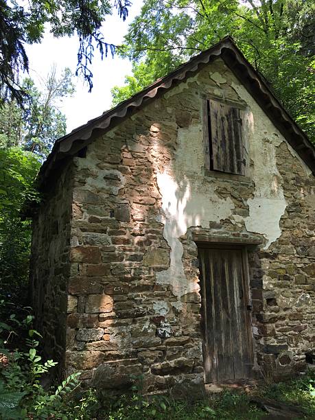 istock Abandon house in forest 2228630602