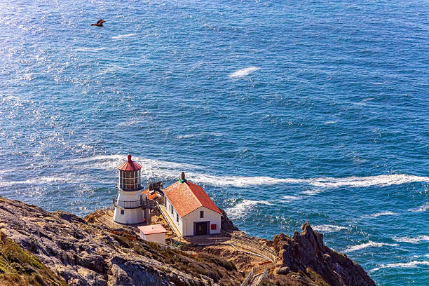 istock Point Reyes is foggy cape 2228630747