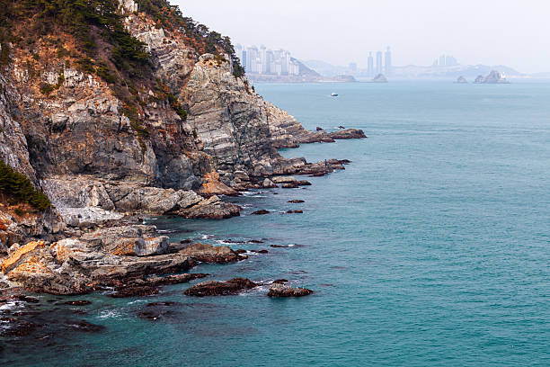 Coastal landscape with beautiful rocky cliffs extend into a calm blue sea, with a distant urban skyline of Busan offering a striking contrast