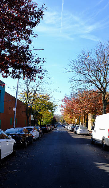 istock Street In Brooklyn during fall 2228635476