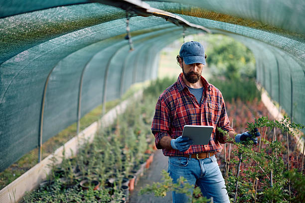 istock Male worker using touchpad during quality control check at plant nursery. 2228636516