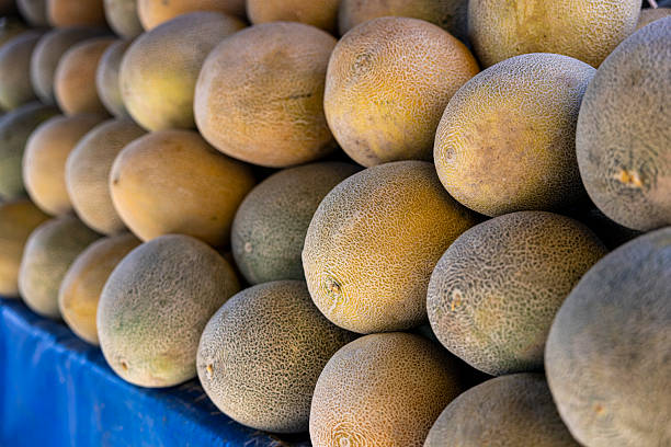 Ripe melons at a farmer’s market