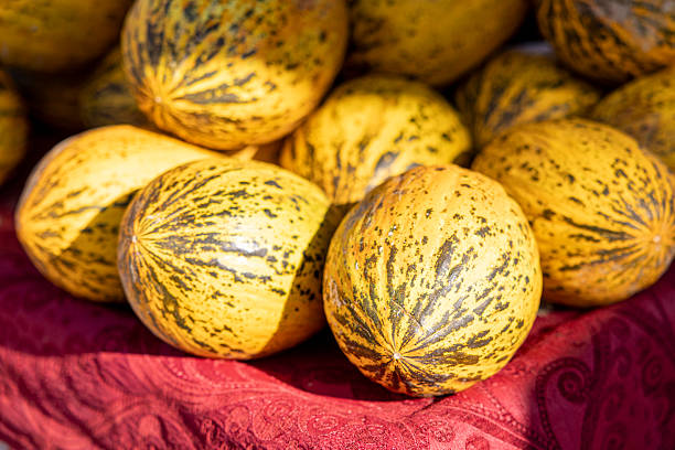Melons sold at the market