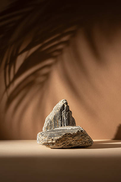 istock Stone podium on a neutral brown background with soft shadow of a palm leaf 2228640592