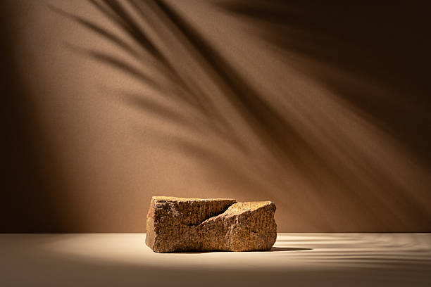 istock Stone podium on a neutral brown background with soft shadow of a palm leaf 2228640726