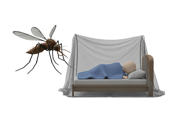 istock Isolated Person Sleeping Under Mosquito Net with Mosquito 2228643785