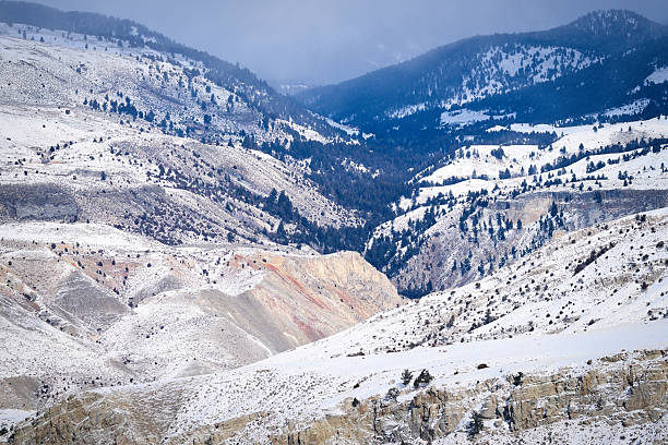 Breathtaking winter mountain landscape featuring snow-covered hills and rugged terrain. Scattered trees add contrast against the white snow under a moody, cloudy sky, evoking tranquility and isolation.