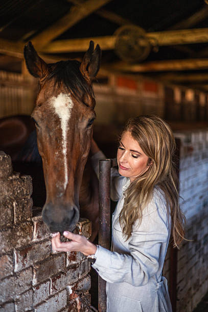 Woman Interacting with Her Horse in a Cozy Stable Setting