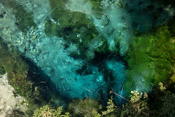 Close-up view of the vivid turquoise spring waters at Blue Eye, a natural wonder located in southern Albania. Surrounded by lush green vegetation and clear river rocks, this freshwater spring is a popular destination for nature lovers and photographers alike.