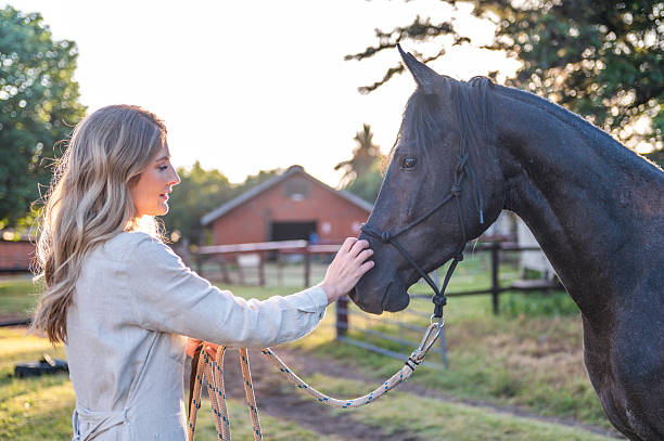 istock Woman Interacting with Her Horse in a Sunny Rural Setting 2228645237