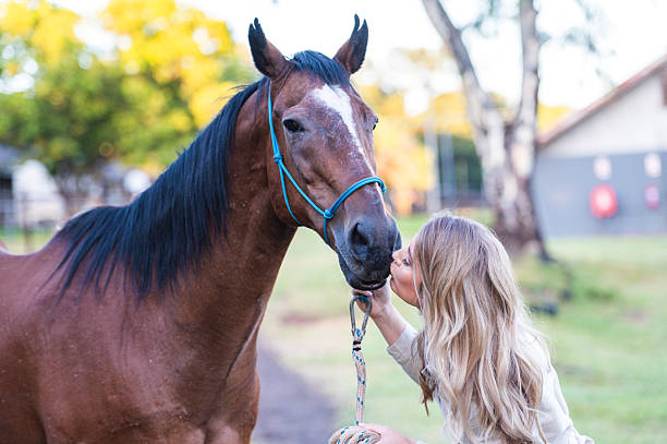 istock Woman Shows Affection to Horse in Outdoor Setting 2228645334