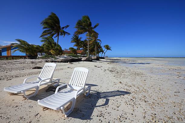 Cuba beach landscape. White beach loungers and palm trees in Cayo Guillermo (Jardines del Rey).