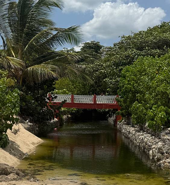 istock Red pedestrian bridge over tropical waterway surrounded by lush greenery 2228647575