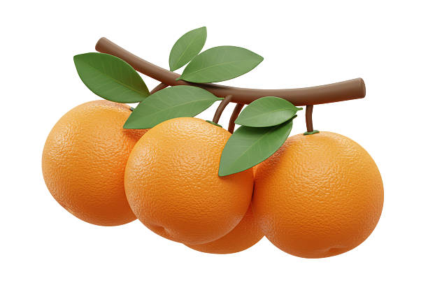 Orange garden