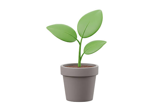 istock Isolated Plant in Pot Sprout Growth 2228647822