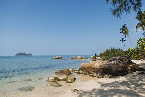 istock Scenic tropical beach with rocks, palm trees, and calm blue sea 2228654886