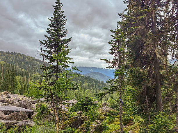 istock Dramatic mountain view showcasing a lush forest under a moody, overcast sky. 2228655629