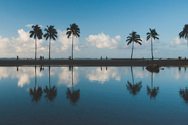 istock Silhouette of people and palm trees with reflection in water 2228655848