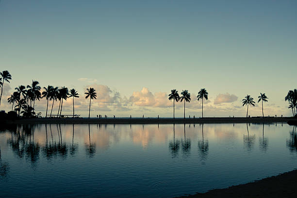 Silhouette of people and palm trees reflected in the water