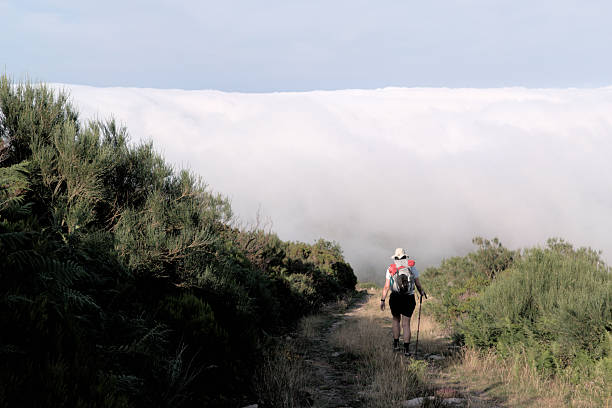 Immerse yourself in Cueto Cordel y Alto Campoo, Spains misty landscape of lush greenery, rugged rocks, and fog.