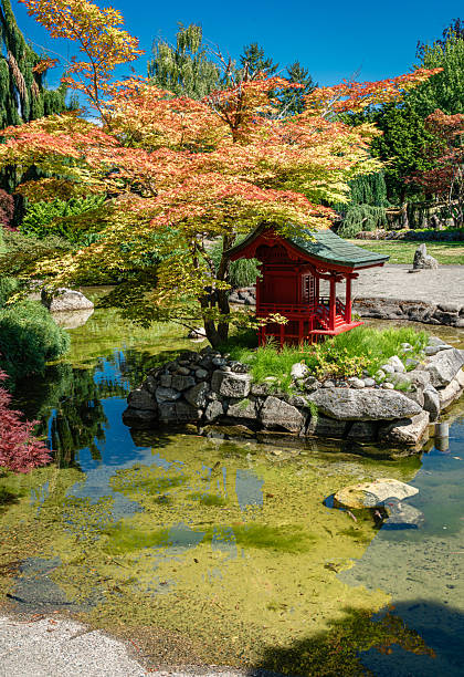 September 7, 2024: authentic red Japanese temple in the autumn garden in Golden Gate park of San Francisco, the United States of America