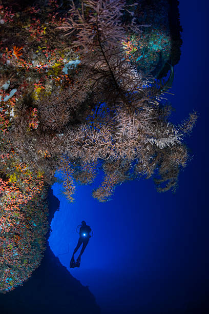 istock The Pacific ocean and a female diver - Palau, Micronesia 2228658237
