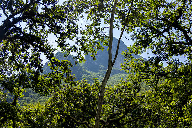 Nestled in the foothills of the Sierra Madre Oriental, La Estanzuela Natural Park—one of Monterrey's most valuable green spaces—has not only protected the city's water supply since 1909, but is also a sanctuary for those of us seeking to reconnect body, mind, and spirit.