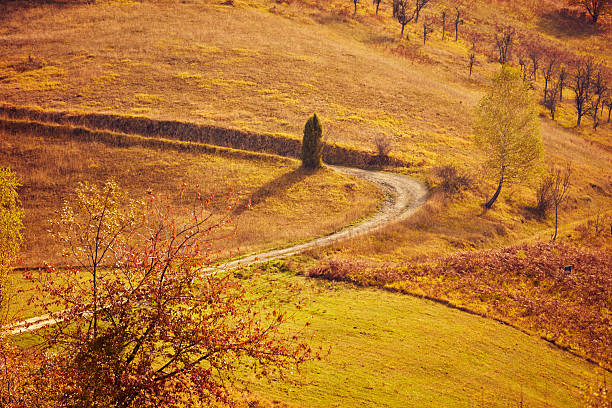 Autumn colored trees and countryside landscape scenery.