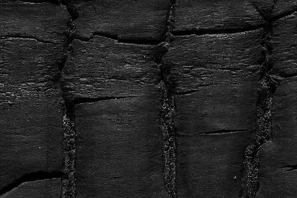 Rich tonal depth in this charred wood macro reveals rugged cracked bark and luxe black wood texture, delivering a refined charcoal background for dark minimal themes. The weathered carbonized timber forms an abstract rough surface echoing fire-damaged wood stories. Bold cracked charcoal grain details stand out while ample copy space leaves room for taglines, AR overlays, or PBR material maps.