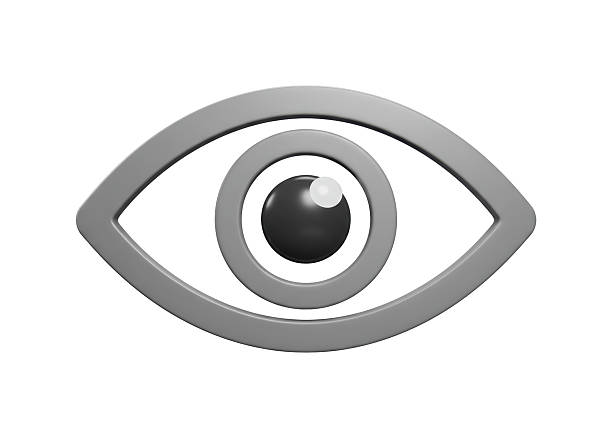 Isolated Gray Eye Symbol Representing Vision and Observation