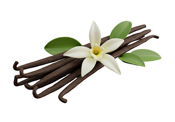 Concept of aromatherapy with aromatic vanilla extract