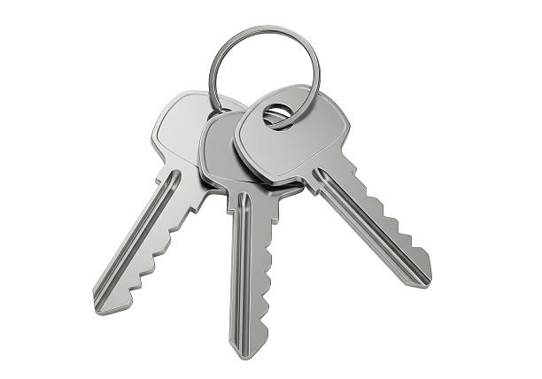 Isolated Bunch of Silver Keys on a Ring - Access