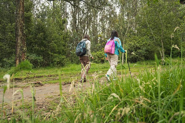 istock Hikers walking along a dirt trail in a lush green forest 2228662585