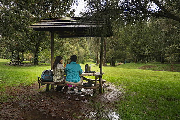 Two hikers are taking a lunch break at a wooden picnic table under a shelter in a green forest