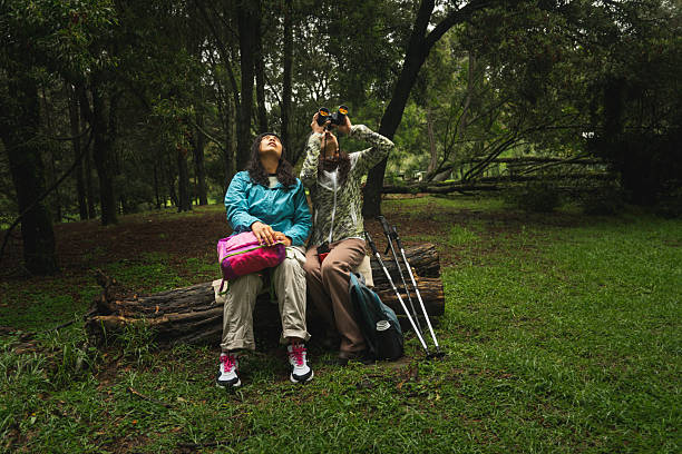 Hikers observing nature with binoculars in lush forest