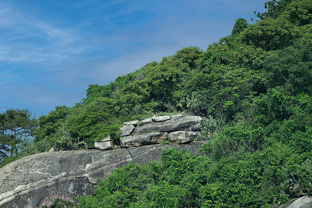 istock Lush Vegetation on Rocky Hillside Landscape 2228662618
