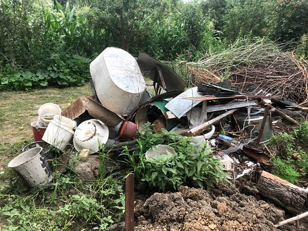 istock Debris pile shows neglect in overgrown garden area 2228663017