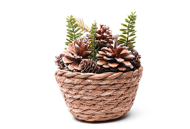 Christmas decor. Composition with pine cones in a wicker basket on a white background