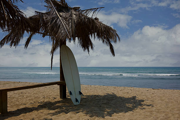 istock Surfboard under the tiki hut at the beach 2228669930
