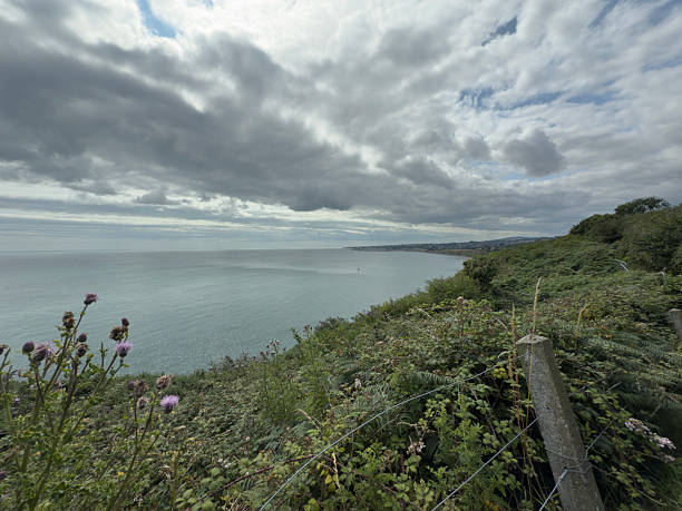Breathtaking scenery of the coastline from Greystones to Bray on the clifftop walk