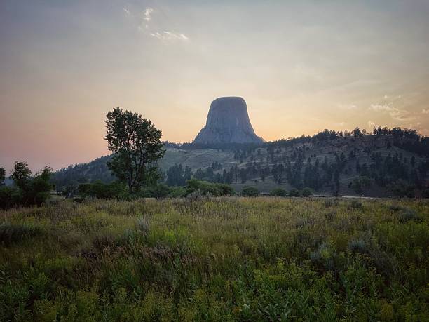 An eye-level landscape shot of Devils Tower in Wyoming, at dusk. The foreground shows a grassy field with a few trees.