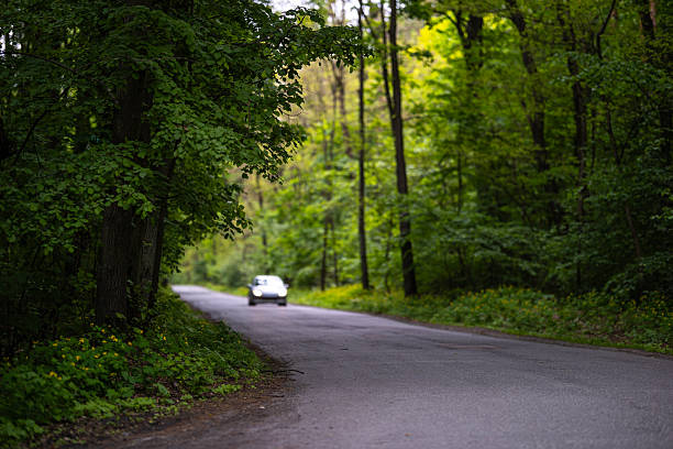 istock A white car approaches on a narrow asphalt road that winds through a dense green forest. The roadside is covered with lush foliage and small wildflowers. 2228678091