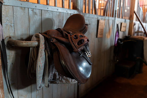 istock The saddle is hanging on the wall in the stable 2228682443